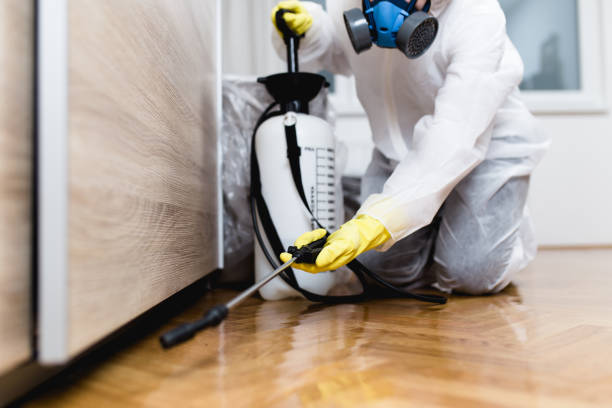 Professional Pest Control in Wabasha, MN
