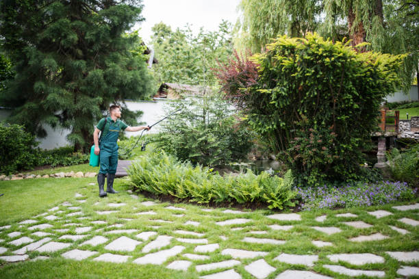 Best Wasp Removal Services  in Wabasha, MN