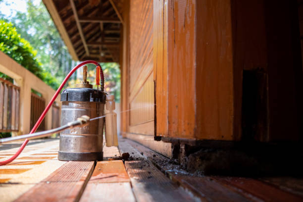 Best Best Pest Control Companies  in Wabasha, MN