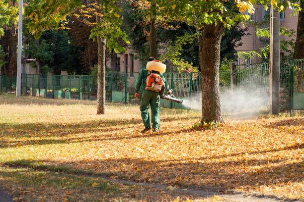 Best Pest Control for Restaurants  in Wabasha, MN